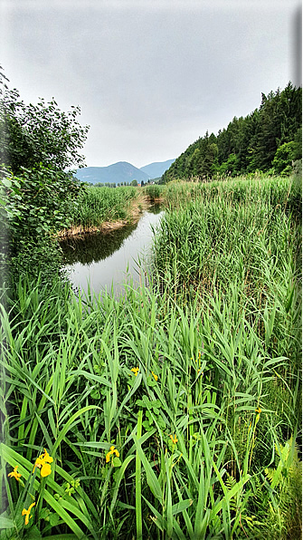 foto Lago di Lases